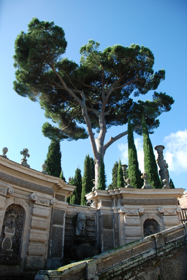 Palazzo Farnese 2013